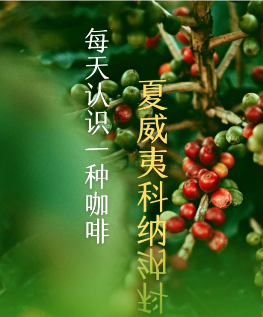 微信截图_20250427114237.png