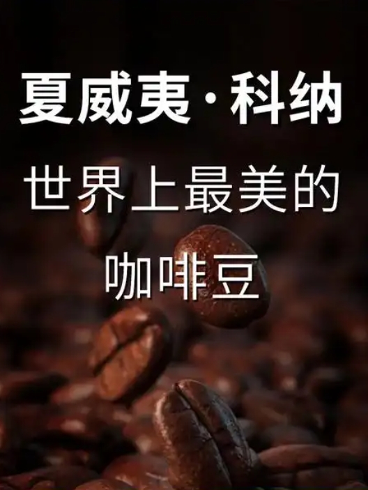 微信截图_20250427114259.png