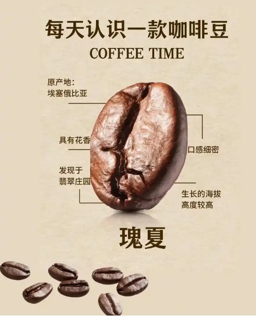 微信截图_20250429144714.png