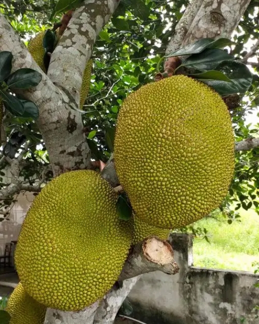 微信截图_20250430142442.png