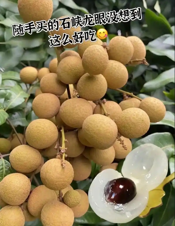 微信截图_20250509151327.png