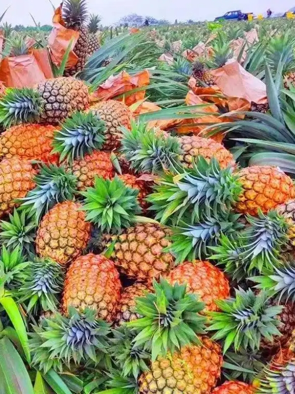 微信截图_20250514151047.png