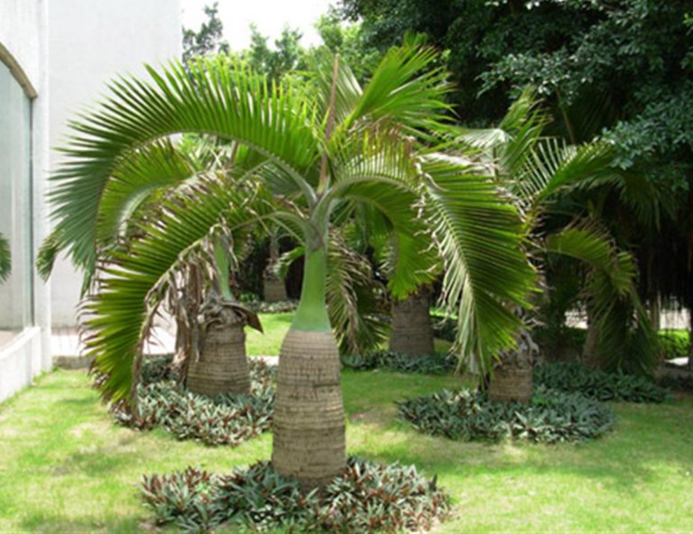 微信截图_20250519144030.png