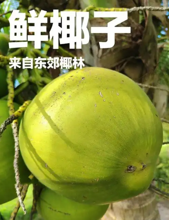 微信截图_20250522145105.png