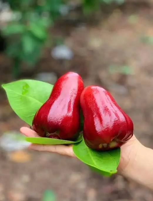 微信截图_20250606145605.png