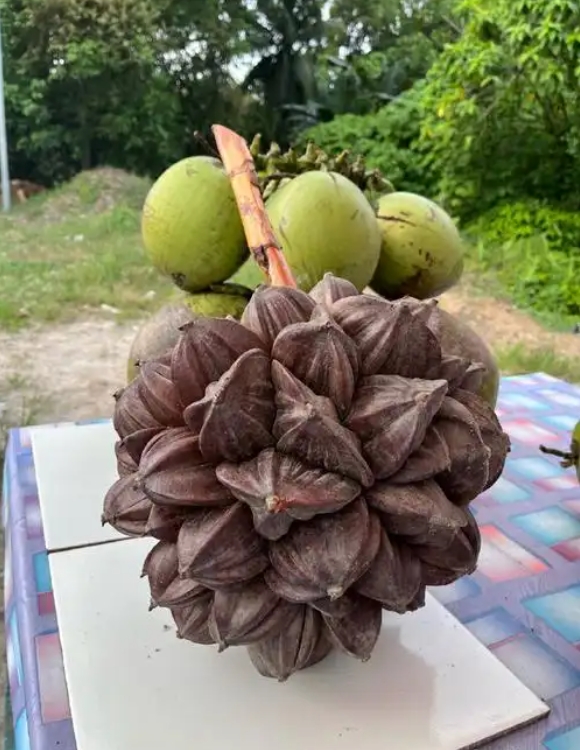 微信截图_20250607150705.png