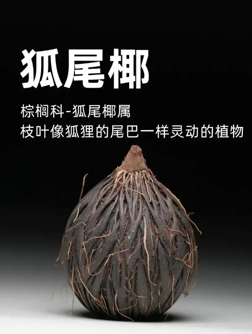 微信截图_20250610152054.png