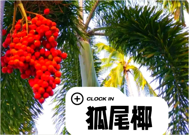 微信截图_20250610152202.png