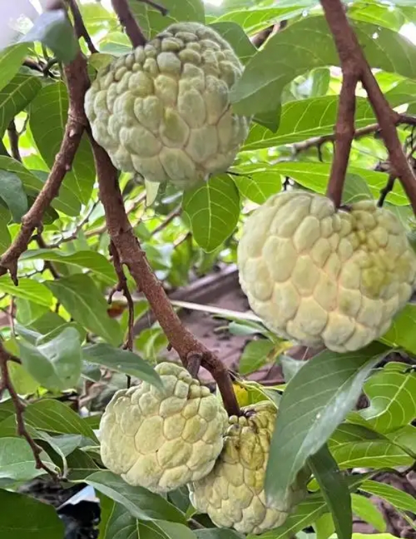 微信截图_20250610154225.png