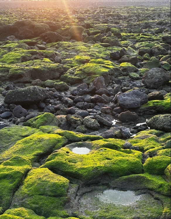 微信截图_20250611155212.png