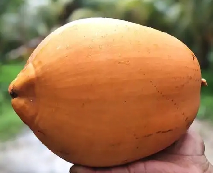 微信截图_20250627151933.png
