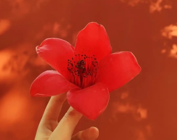 微信截图_20250708154825.png