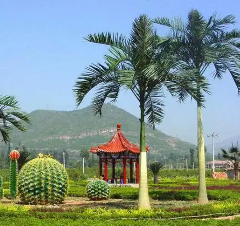wechat_2025-07-30_153358_474.png