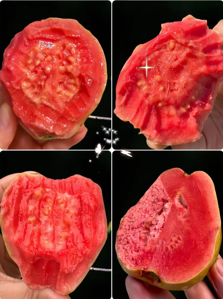 wechat_2025-08-07_151948_461.png